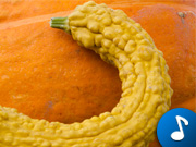 vignette_son-Courges